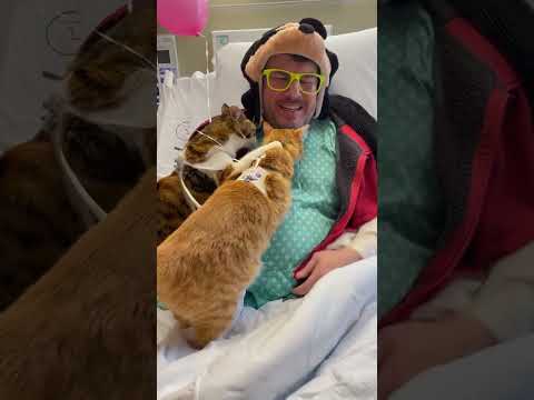 Quem veio me visitar?