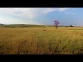 Exploring the Cradle of Humankind
