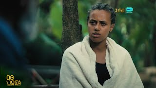 ዕፀህይወት ከተማውን እንዲረዳት ትጠይቀዋለች - ዕፀህይወት | ምዕራፍ 1 | ክፍል 28 | አቦል ቲቪ– Etse Hiwot | S1 | E28 | Abol TV