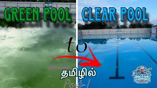 How to clean swimming pool | Green to blue | Tamil | Ajith swimming coach explain