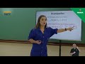Matrizes: Definições e Propriedades