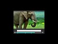 Endangered Species and Wildlife Protection