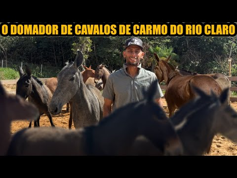 A ROTINA DO PEÃO DOMADOR DE CAVALOS E MULAS DE CARMO RIO CLARO-MG