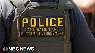 YouTube video thumbnail: Man Killed While Fleeing ICE Officers in Florida