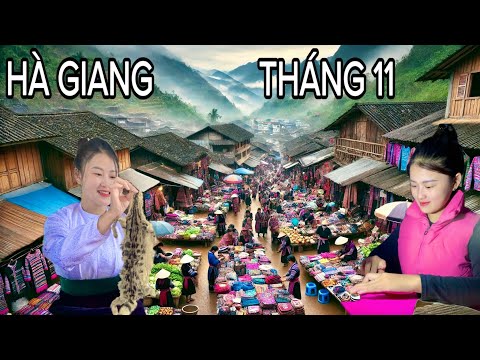 SIÊU LÒNG VỚI HÀ GIANG GẶP EM GÁI ĐẸP NHƯ HOA TAM GIÁC MẠCH