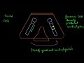 Centrifugation and Satellite DNA Concepts