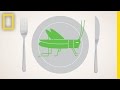 Insects as a Sustainable Food Source