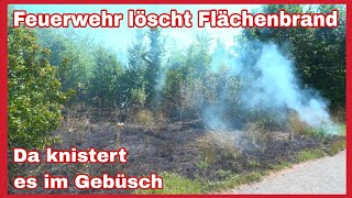 🔥FEUER im Gebüsch🚒Feuerwehr rückt bei FLÄCHENBRAND in Leipzig-Grünau-Nord an🔥