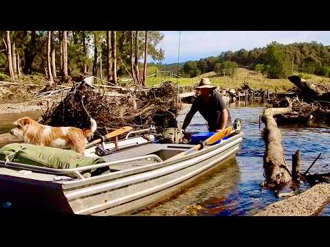 THE DOGS LIFE.. Camping In A Row Boat..