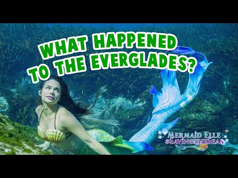 Ep 15: What Happened To The Everglades? | Mermaid Elle - Saving the Seas