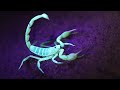 Bioluminescence and Fluorescence in Animals