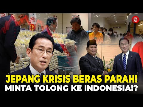 JEPANG KRISIS BERAS!? Cadangan Darurat, Penjatahan, Harga Tinggi! Indonesia Malah Kebanjiran Stok!