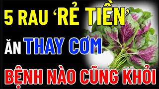 BÁC SĨ MÁCH BẠN "ĂN RAU NGÓT Cùng THỨ NÀY" MÁU THÔNG LÊN NÃO, NGỦ SAY ĐẾN SÁNG, SẠCH GAN KHỎE THẬN