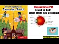 Understanding the Human Eye