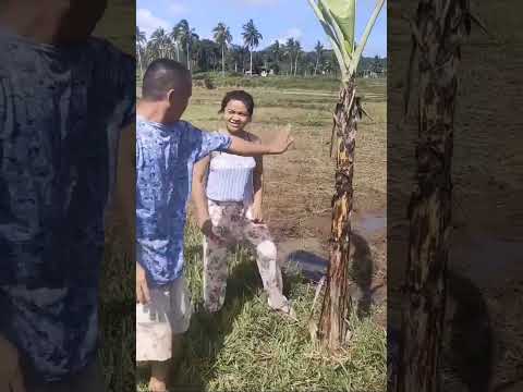 không nhịn được cười với cặp đôi nhà mày