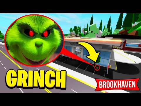 JE TROUVE LE GRINCH à 3H00 DU MATIN SUR BROOKHAVEN