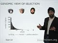 Genetic Mutations and Selection Mechanisms