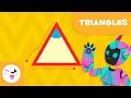 Types of Triangles: A Comprehensive Overview