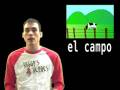 Mastering the Verb IR in Spanish