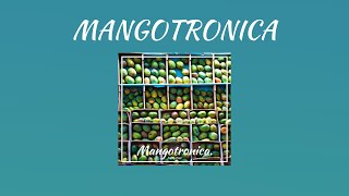 SUNNY FRUIT – MANGOTRONICA [OFFICIAL MUSIC VIDEO] 🔥 Background Music 🔴 Happy Music ▶️ Upbeat