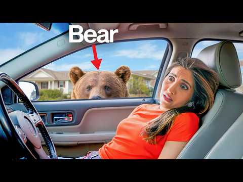 We Found A REAL BEAR in our Backyard!