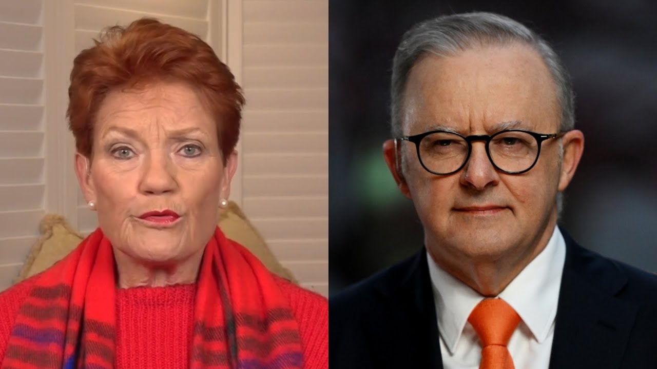‘Pathetic as a leader’: Pauline Hanson torches Albanese for not meeting with Trump