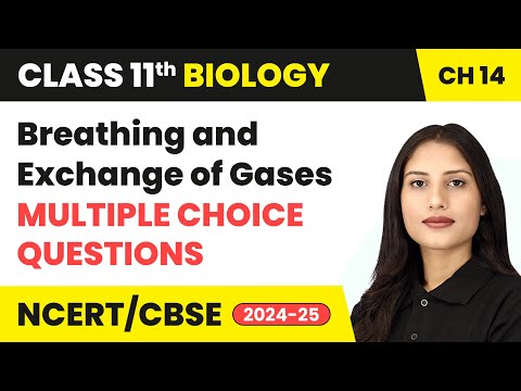 Breathing & Exchange of Gases - Multiple Choice Questions | Class 11 Biology Chapter 14 | CBSE 2024