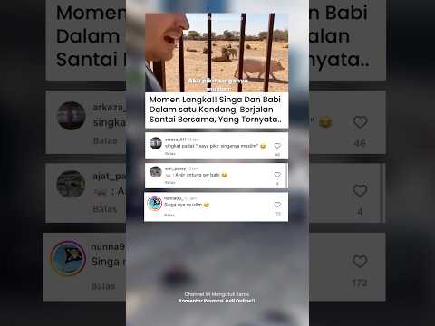 🦁: “Haram…Haraammm”