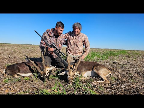 CAZA DE ANTILOPE Y FUIMOS POR LOS CHANCHOS 🦌🐷