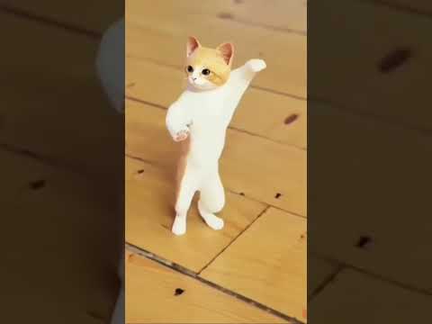احلى قطه واحلى رقصه احلى طبله😍