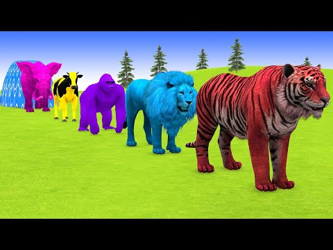 Long Slide Game With Cow Elephant Gorilla Hippopotamus Tiger - 3d Animal Game - Funny 3d Animals