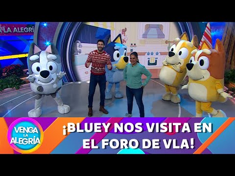 Bluey se presenta en VLA con toda la actitud | Programa 20 diciembre 2024 PARTE 1 | Venga la Alegría