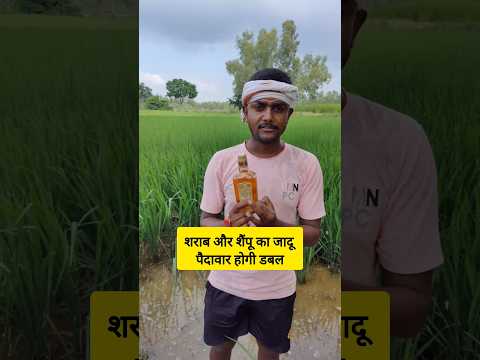 मात्र 50 रुपए में पैदावार होगी डबल 😱 #shorts #shortvideo #farmer #desi #ytshorts #farmerlife