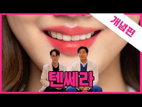 😍리프팅에 적합한 텐쎄라 뭔가요?😍