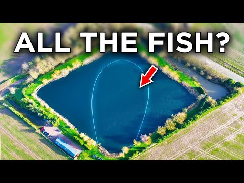 Netting a Fishing Lake - What Will We Catch?