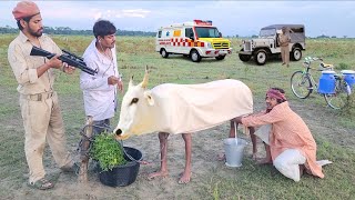 Amazing Funny Moment🤣Totally Funniest comedy video | new 2025
