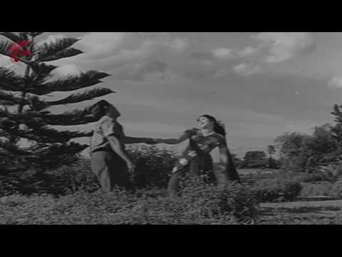 Aa Navvula Kosame Nenu kalalu kannnu  Video Song | ANR, Krishna Kumari | All Time Classic Songs