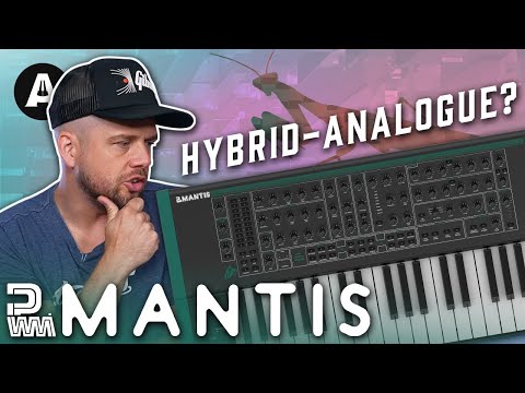 PWM Mantis - A Unique Analog Digital Hybrid Synth, the Best of Both Worlds?