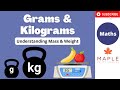 Understanding Mass and Weight Concepts