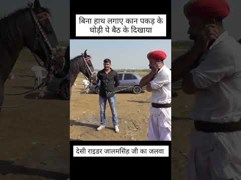 #horse #allindiamarwarihorsesocietyaa #horseenthusiast