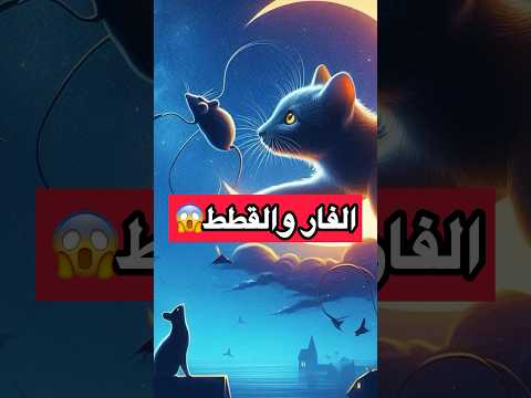 ازاي ربنا خلق الفأر والقطط😱