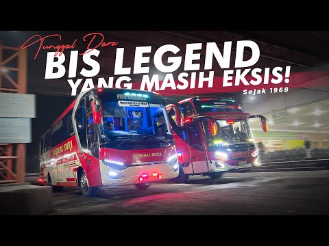 [ 2025 NAIK BIS TUNGGAL DARA ] GIMANA PELAYANANNYA ⁉️ - Trip Bus Legend TUNGGAL DARA Bawen-Jakarta