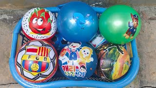 WADIDAW!!! menemukan banyak bola di kebun