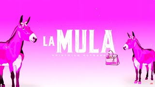 Cristhian Estrada - La Mula (Lyric Video)