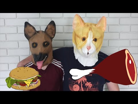 A dog finds a Bear's and Dog masks, Tutudog comedy videos