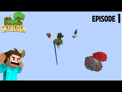 Skyblock But With Bigger Island And Challenge's 😎🩹 | Episode 1 | #minecraft #skyblock #viralvideo