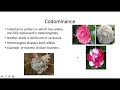 Exploring Non Mendelian Genetics Concepts