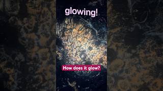 How do rocks have fluorescence? #geology #minerals #fluorescence #taiwanrockguy