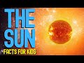 Understanding the Sun