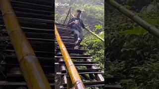 why did I laugh😫😂#funny #laugh